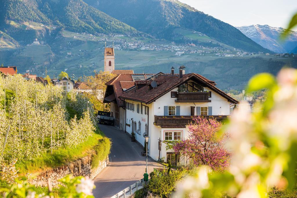 Weingut Pardellerhof Villa Marlengo Dış mekan fotoğraf